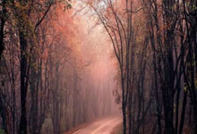 中国男足对阵新西兰男足的直播哪里看？比赛有哪些看点？